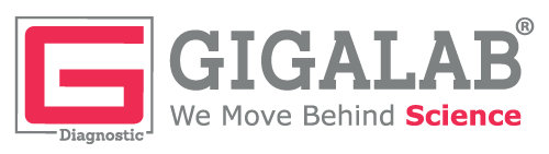 Gigalab Manufacturing